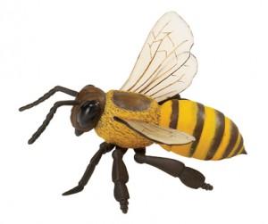 Arı Alerjisi Nedir